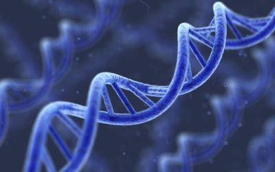 Good Genes: Developing Your Business DNA