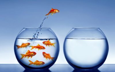 Love It or Leave It: Creating Customer Loyalty